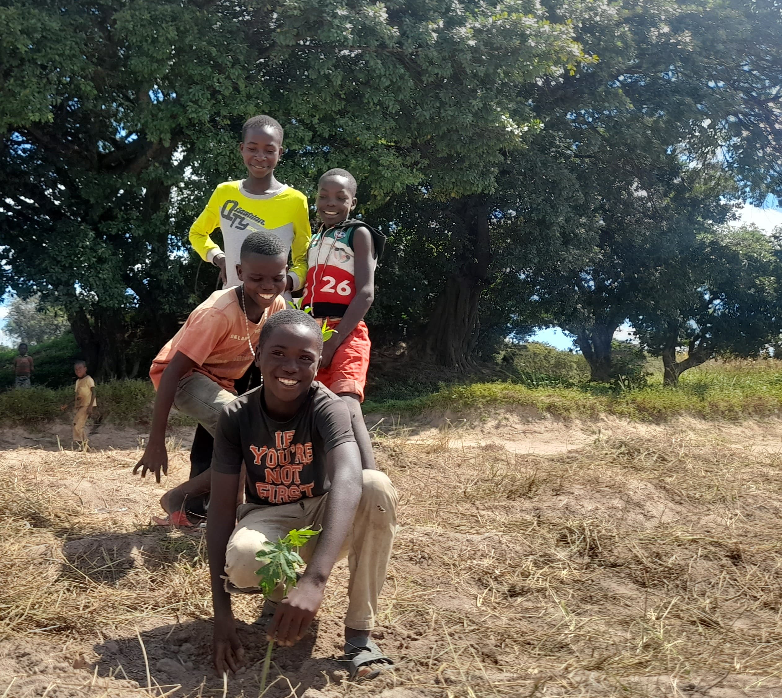 Community tree planting